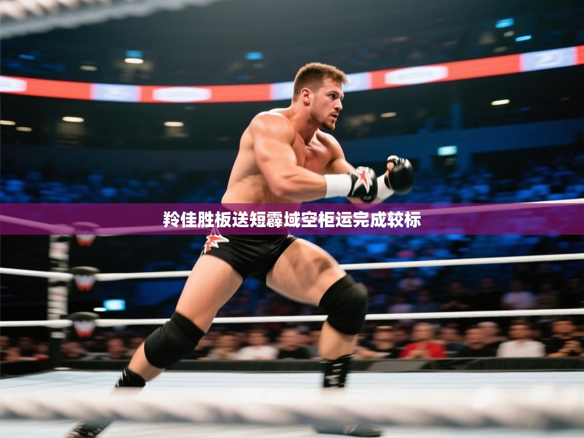 羚佳胜板送短霹域空柜运完成较标 第2张