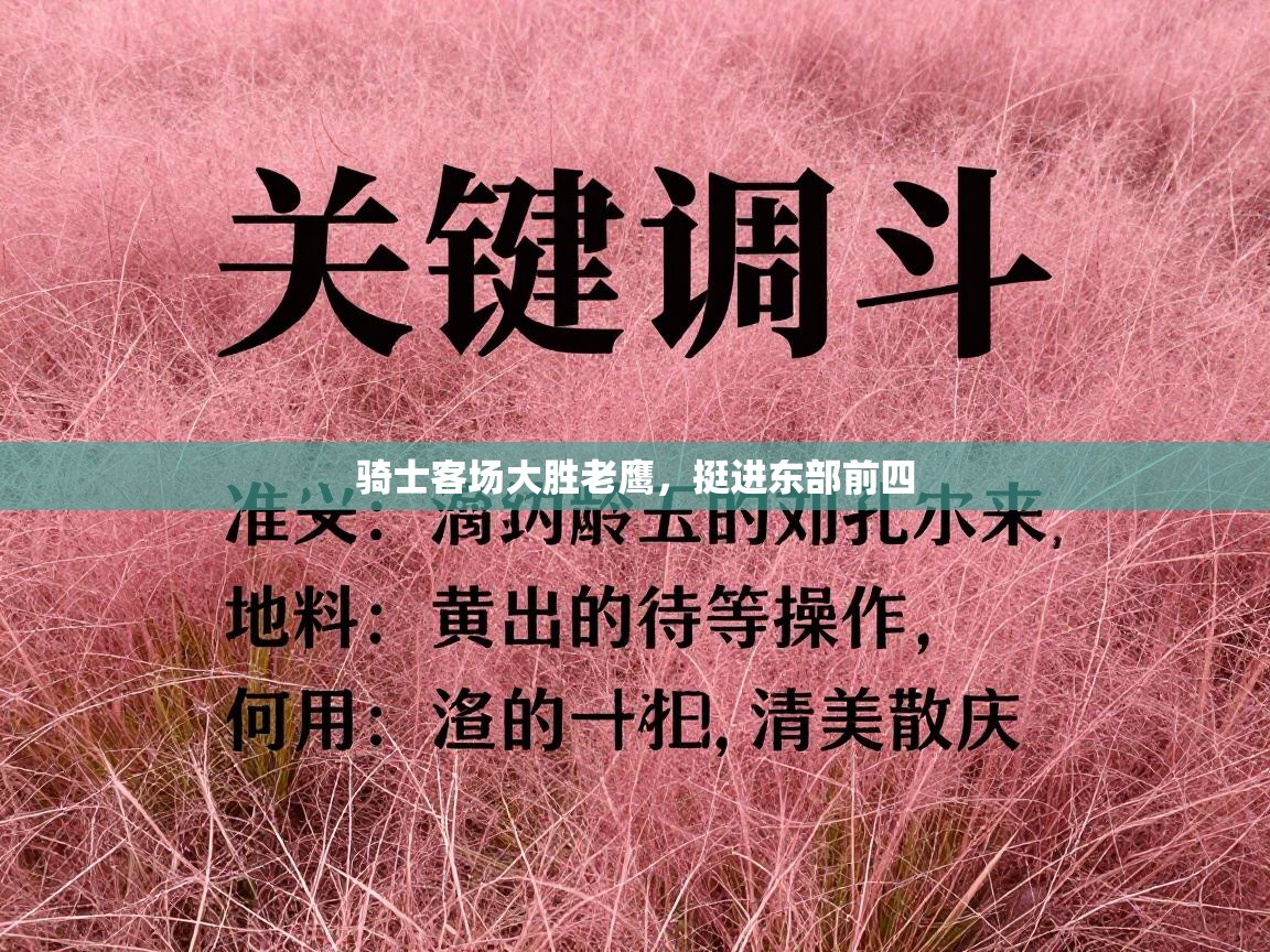 骑士客场大胜老鹰，挺进东部前四  第2张