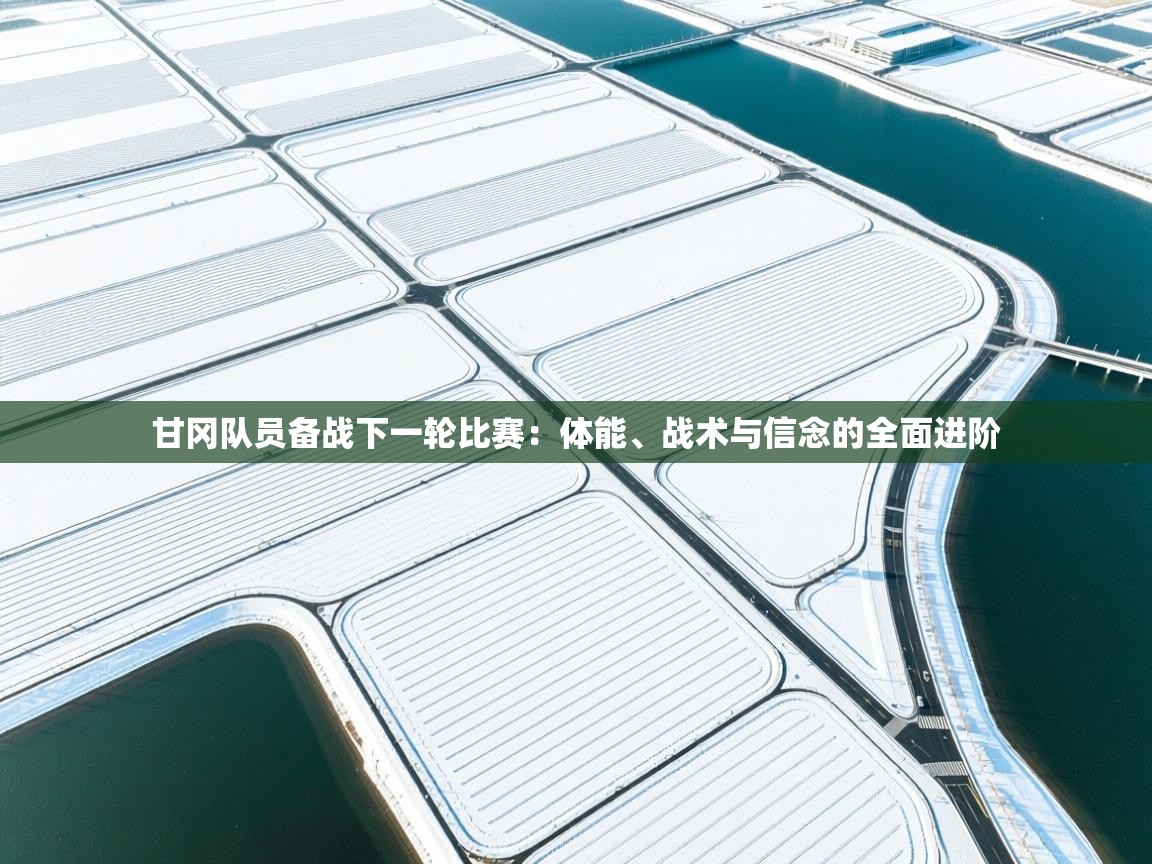 甘冈队员备战下一轮比赛：体能、战术与信念的全面进阶  第1张