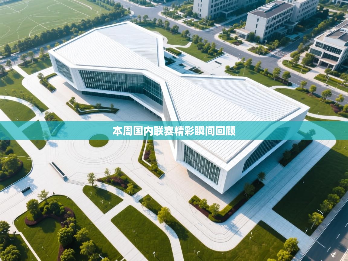 本周国内联赛精彩瞬间回顾 第2张