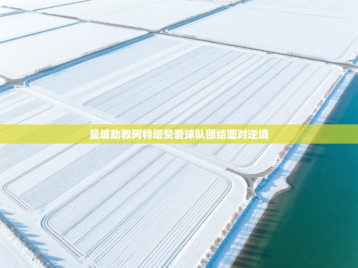 曼城助教阿特塔赞誉球队团结面对逆境  第1张