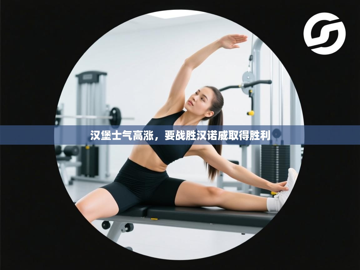 汉堡士气高涨,要战胜汉诺威取得胜利 第2张