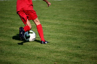 开云足球直播-球市喧嚣，足球赛季开启，球场热闹非凡